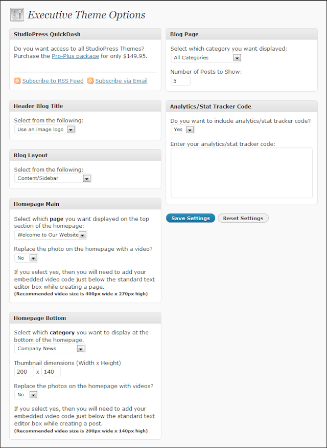 Executive WordPress Theme Options